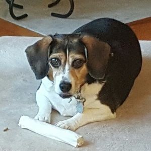 Meet your Posher, Carmen